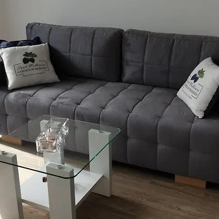 Apartament Z Ogrodkiem Bialy Dom Apartment *